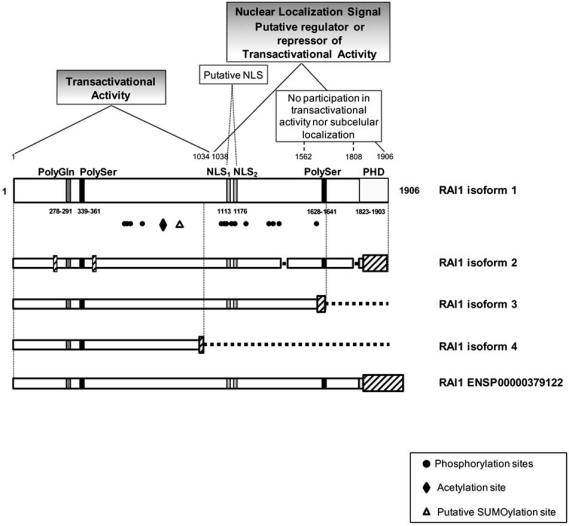 Fig. (1)