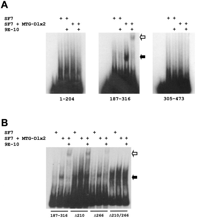 Fig. 8.