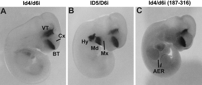 Fig. 5.