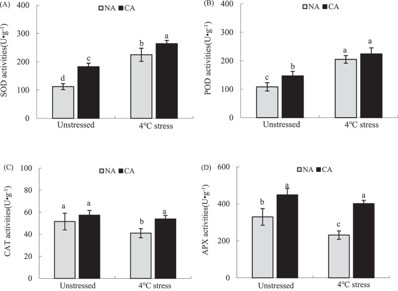 Figure 6.