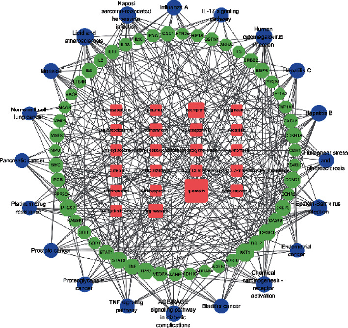 Figure 4
