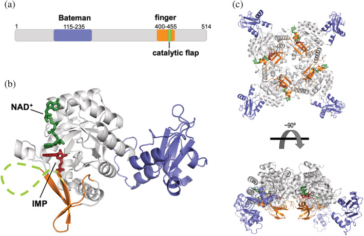 FIGURE 2