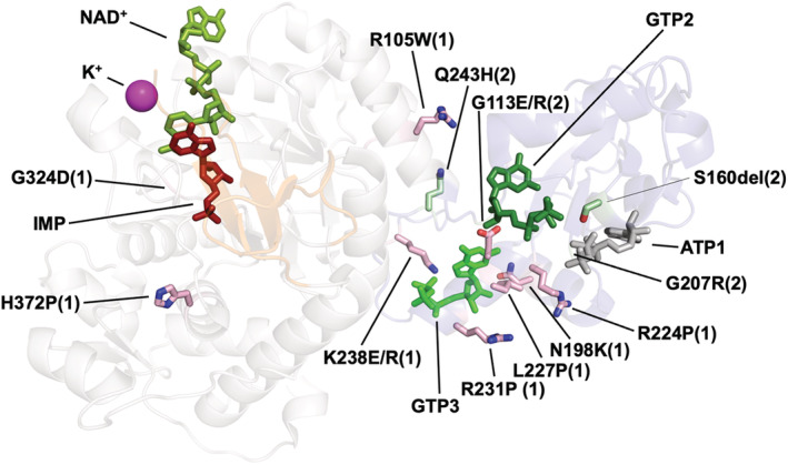 FIGURE 13