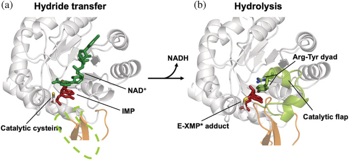 FIGURE 3