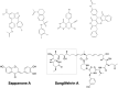 FIGURE 14