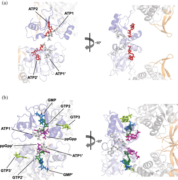 FIGURE 6