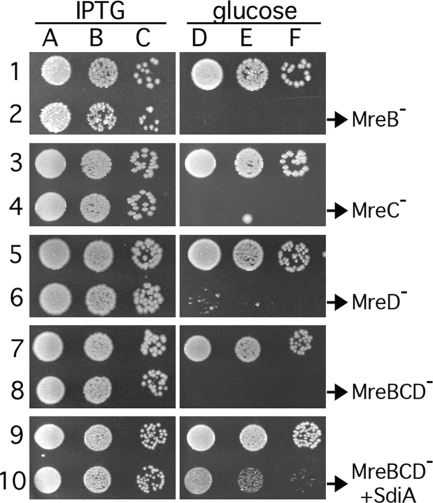 FIG. 2.