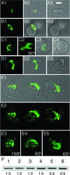 FIG. 4.