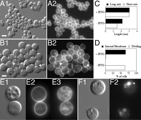 FIG. 8.