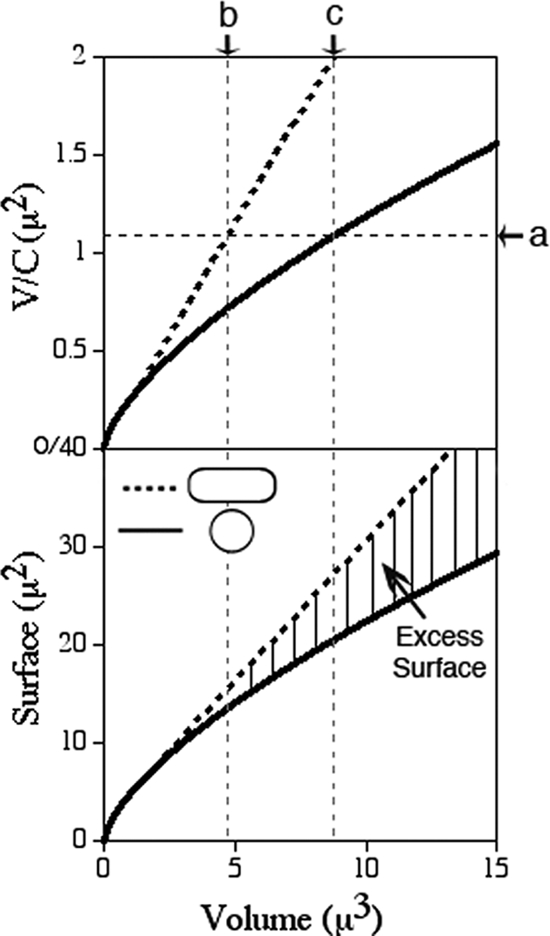 FIG. 11.