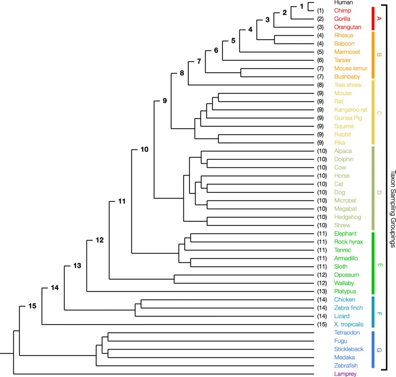 Fig. 9