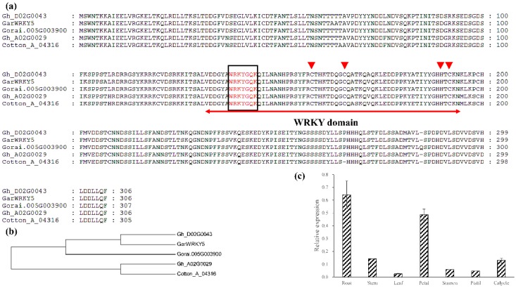 Figure 1