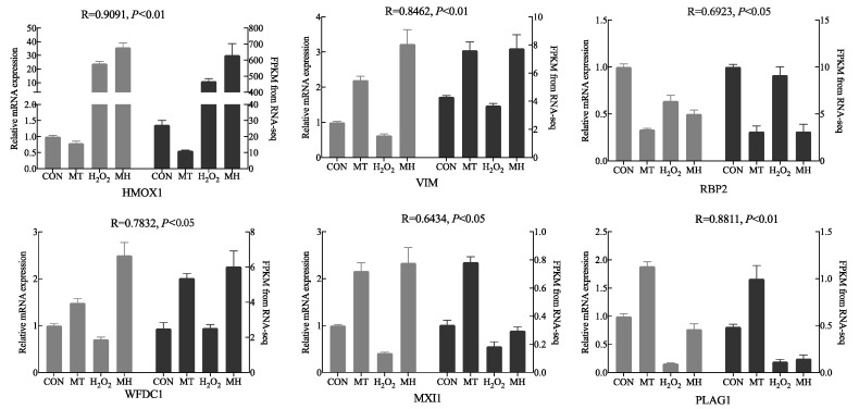 Figure 6