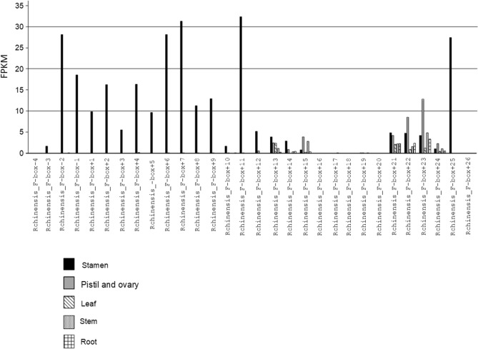 Figure 5