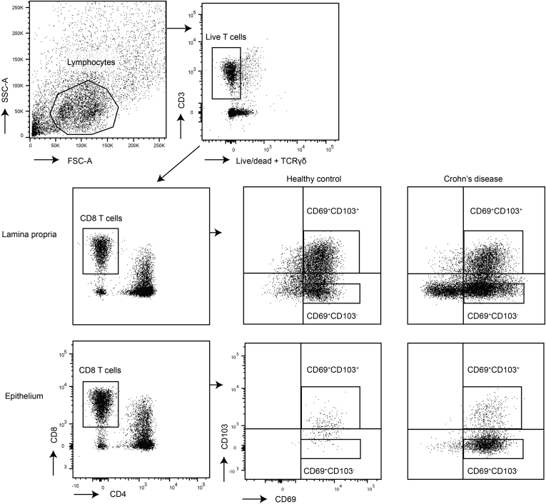 Figure 7