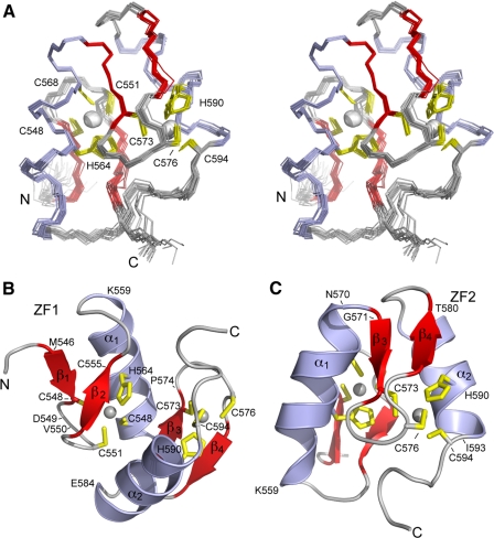 FIGURE 4.