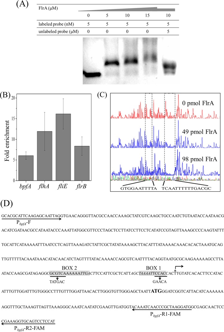 FIG 3