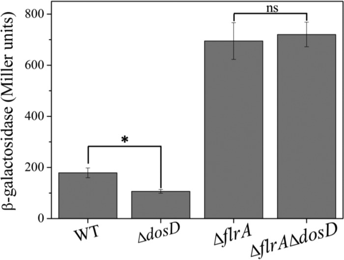 FIG 6