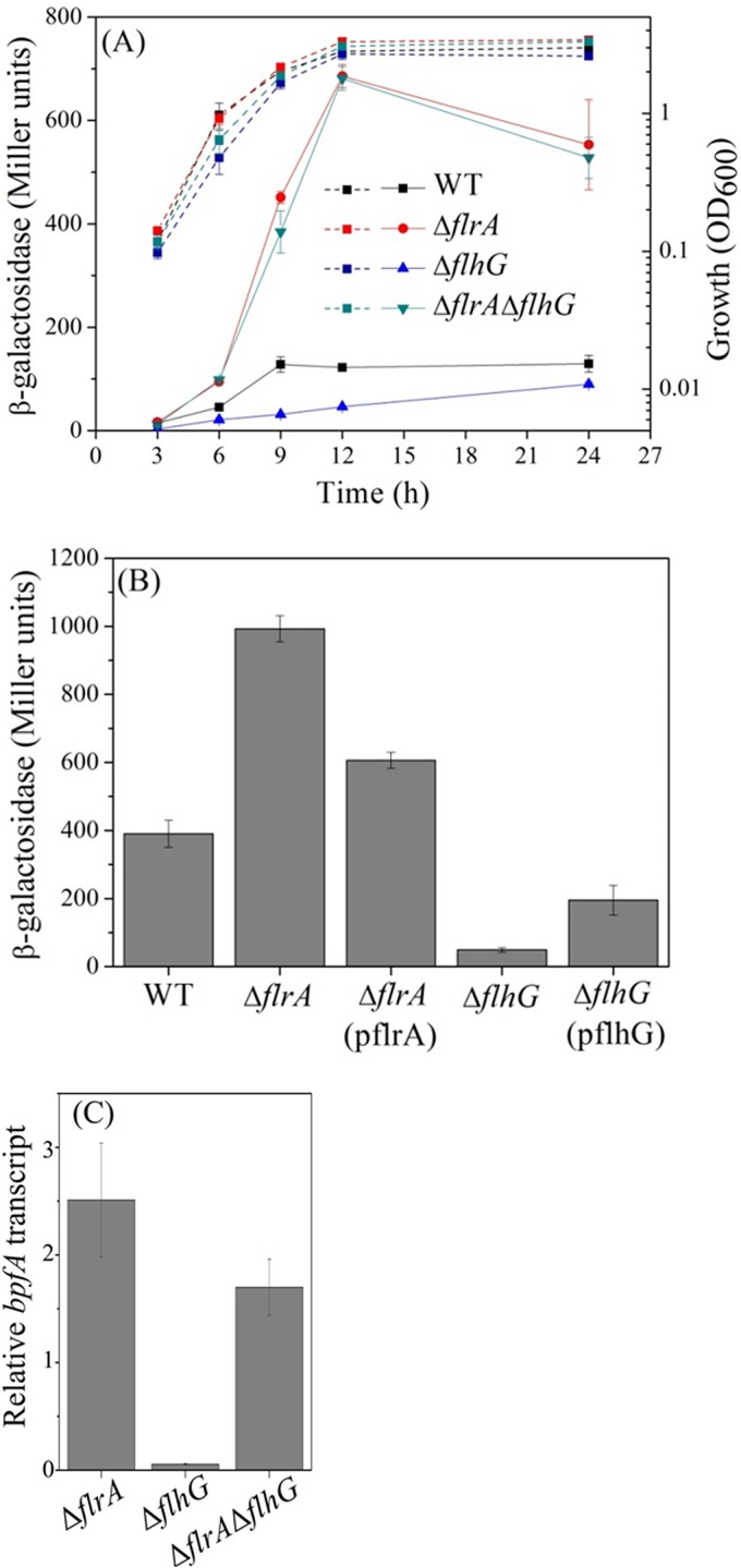 FIG 1