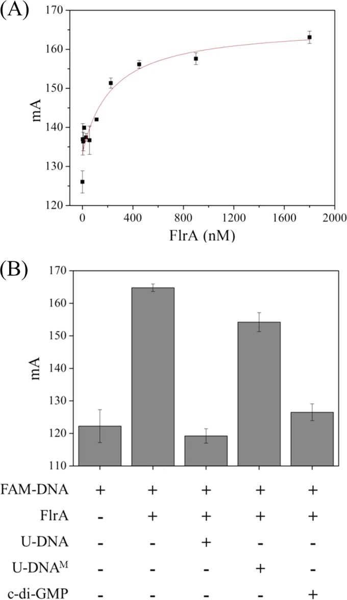 FIG 5