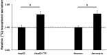 Figure 6