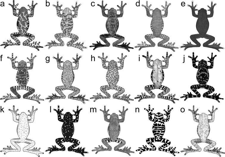 Figure 5.