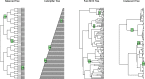 Fig. 8