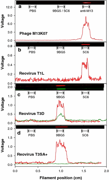 Figure 4.