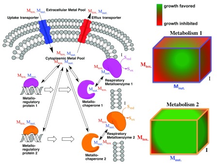 Figure 3. 