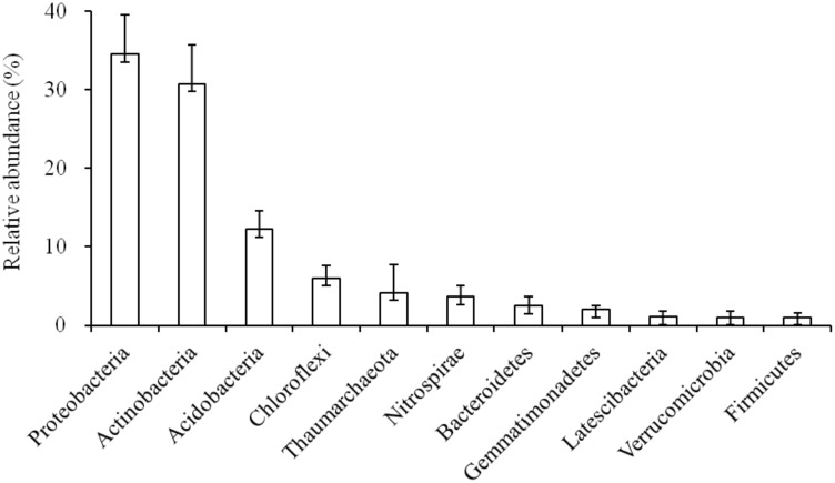 FIGURE 1