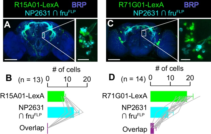 Figure 5—figure supplement 3.