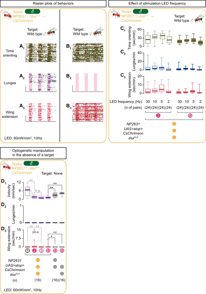 Figure 2—figure supplement 1.