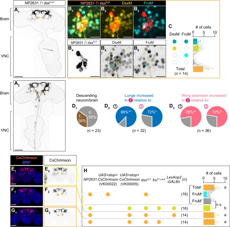 Figure 2—figure supplement 2.