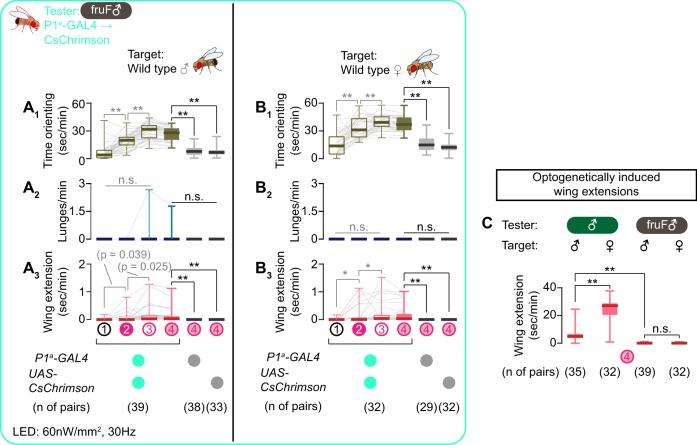 Figure 6—figure supplement 2.