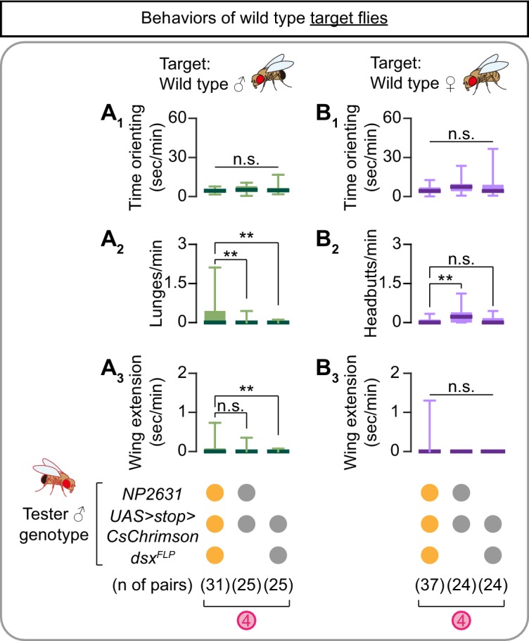 Figure 2—figure supplement 3.