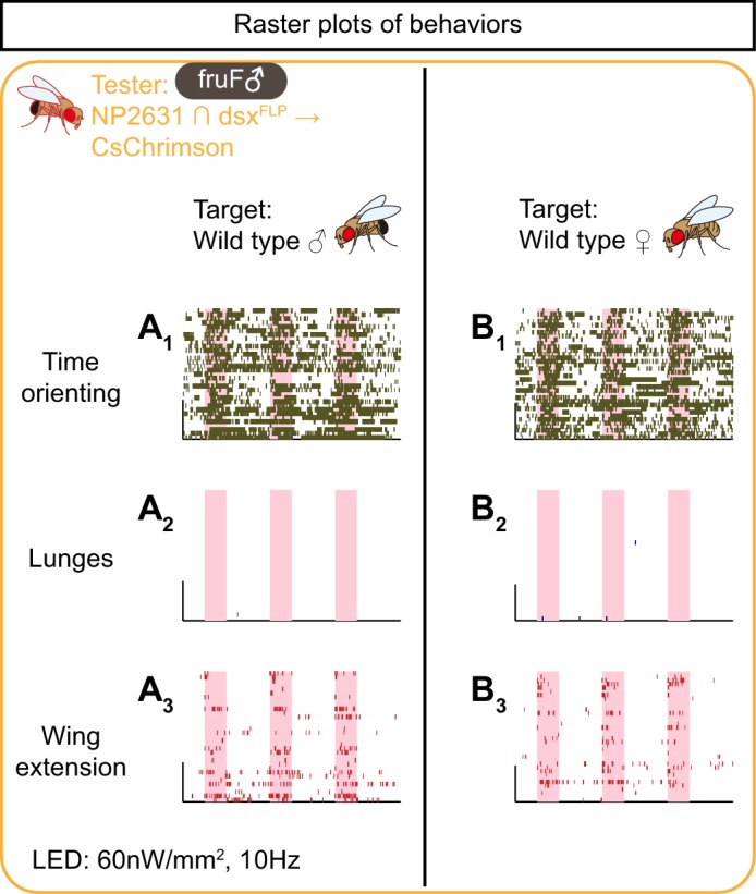 Figure 4—figure supplement 1.