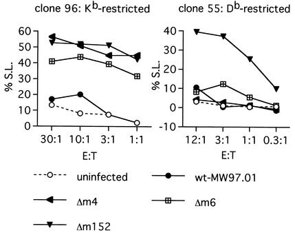 FIG. 5.