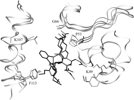 Figure 1: