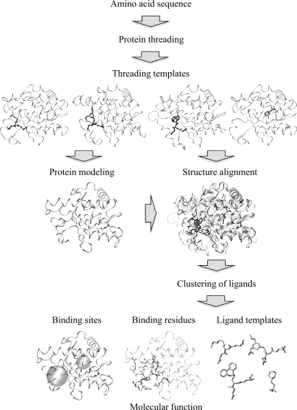 Figure 2: