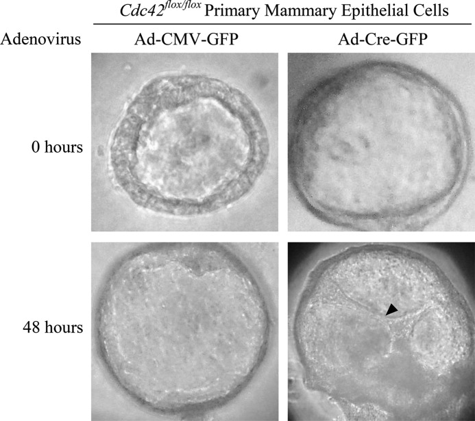 FIGURE 6.