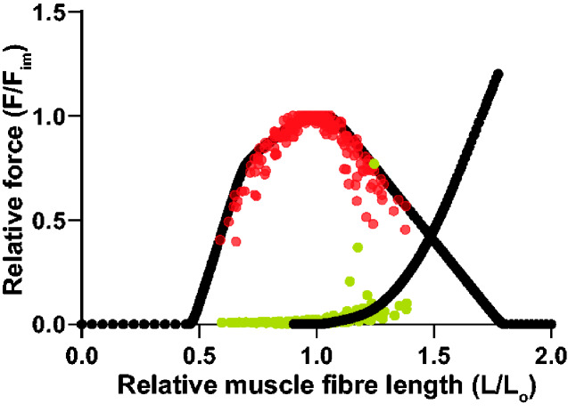 Fig. 8