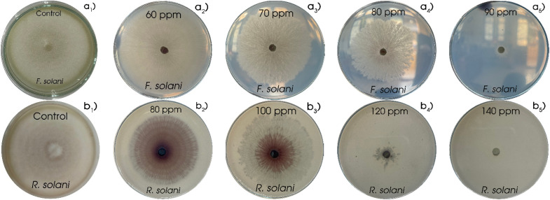 Fig. 9