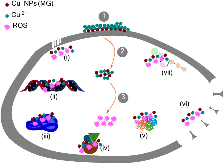 Fig. 11