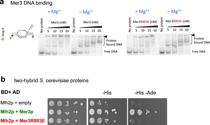 Figure 4—figure supplement 4.