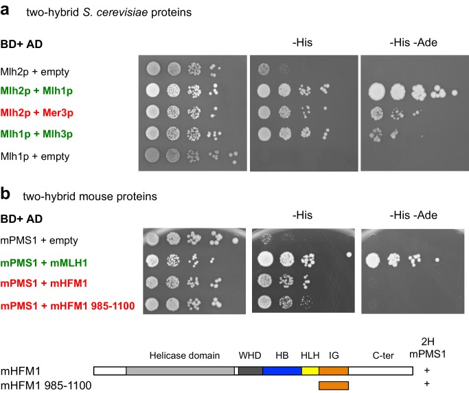 Figure 4—figure supplement 3.