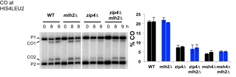 Figure 7—figure supplement 1.