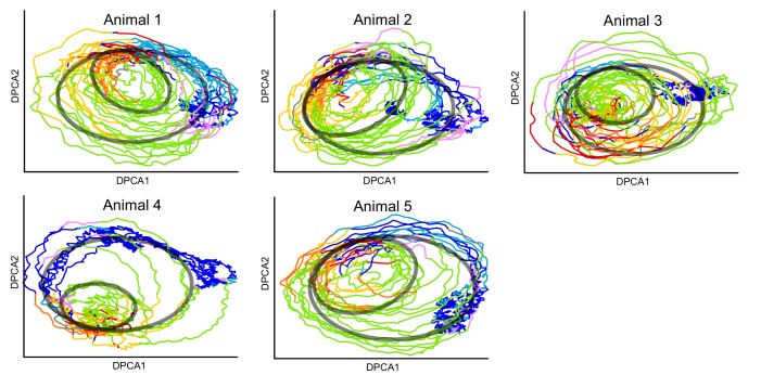 Figure 4—figure supplement 1.