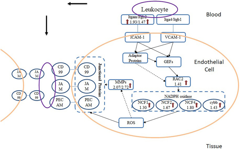 FIGURE 6