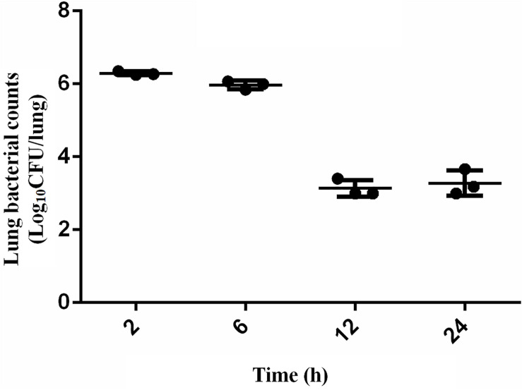 FIGURE 2