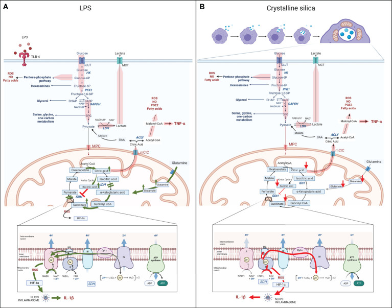 Figure 2